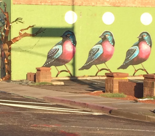 Mural of birds on a wall in downtown Phoenix.