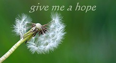 Click to visit the original post