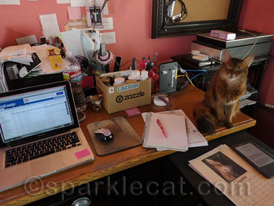 When my human is really slacking, I will stand on the back of her chair