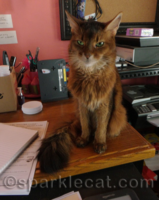 She is not a very good employee