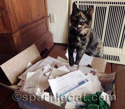 Don't tell my human that she shreds more than she files!