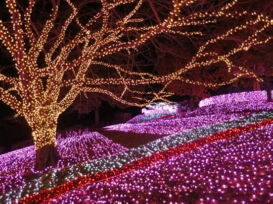 All the trees in the Fields Of Pink were lit up in gold.