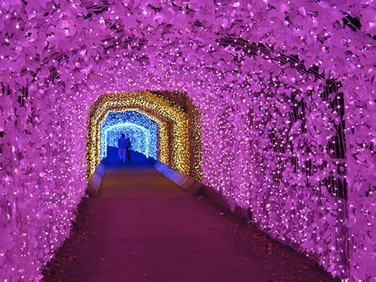 Enter this magical tunnel between the worlds...