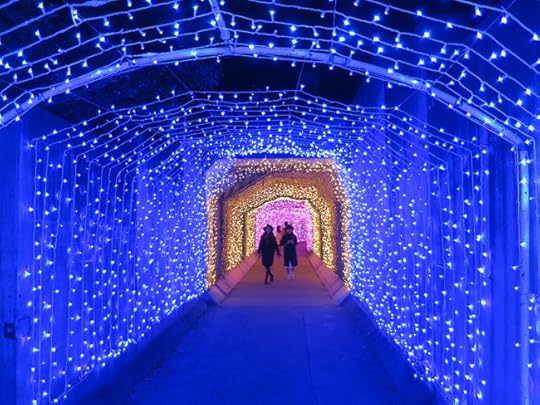 ...and emerge into a glowing underwater wonderland.