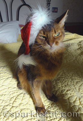 Ho Ho No