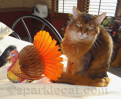 Who's the turkey here?