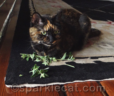 Nip thief!
