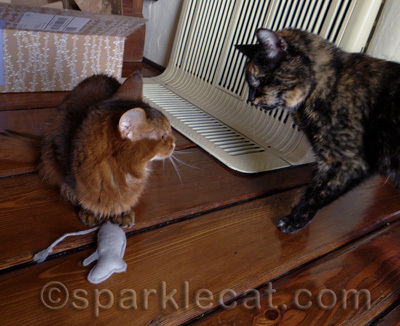 And I was just settling down for a nice huff of nip