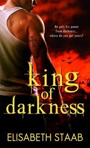 This is the FIRST book in Elisabeth's Chronicle of Yavn Series.