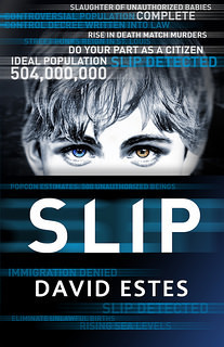 Slip cover