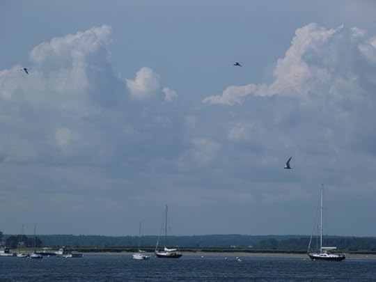 Ferry_Beach_4.jpg 
