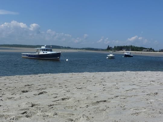 Ferry_Beach_5.jpg 