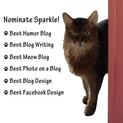 Here are the categories I could be nominated for!