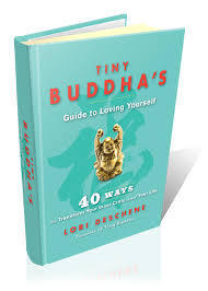 tinybuddhasguide