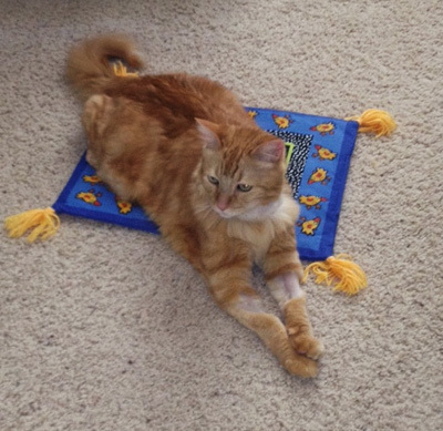 Leo is taking a magic carpet ride!