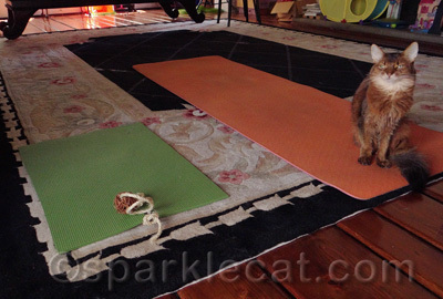 The human mat is definitely inferior