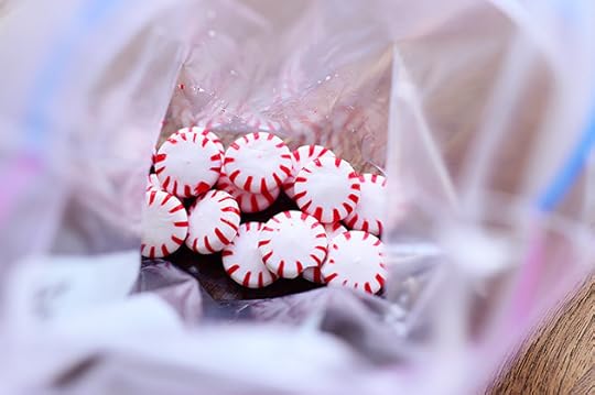 Quick Peppermint Fudge