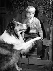 Timmy and Lassie
