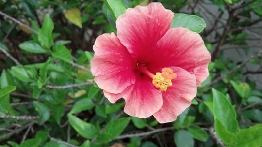 IMG_20140417_162344_456