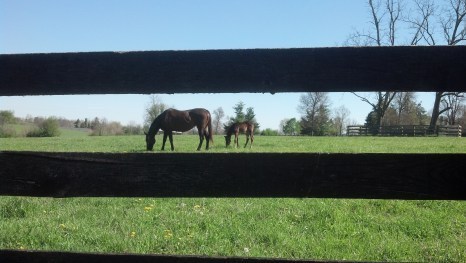 IMG_20140426_101910_931