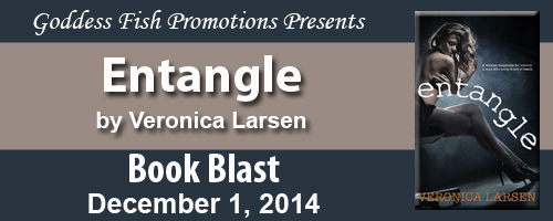 MBB_Entangle_Banner