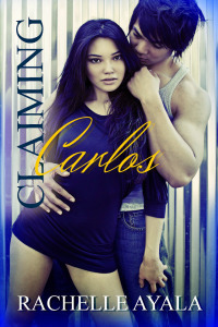 6b504-ebook2bcover