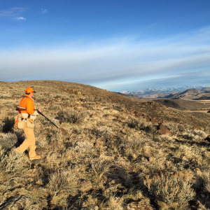 Shawn hunts Code Brown on Black Friday. 