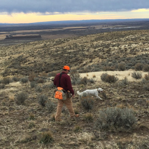 Shawn and Danny Boy, the rescue Setter. Danny actually did pretty good for his first hunt. We think he has hunted before. 