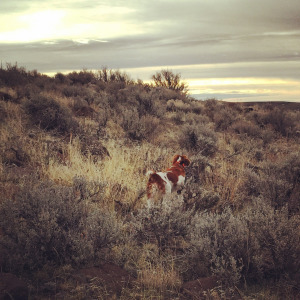 Misty Girl on Point. 