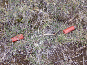 The very 12 gauge hulls from Dad's Hun double. 