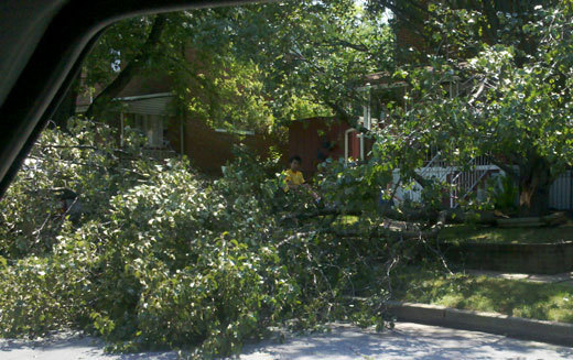 Storm Damage on 06/30/2012