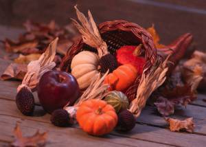 Cornucopia