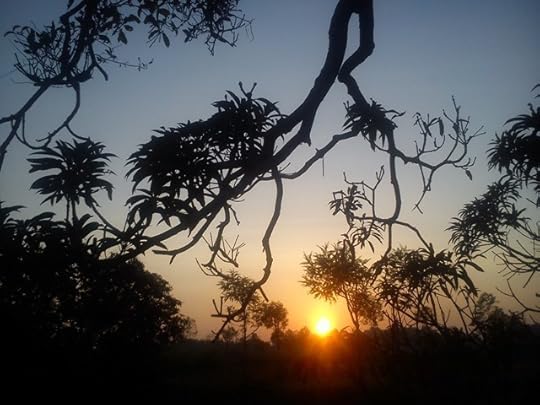 Matahari Terbit Madura
