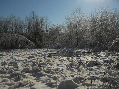 place I love