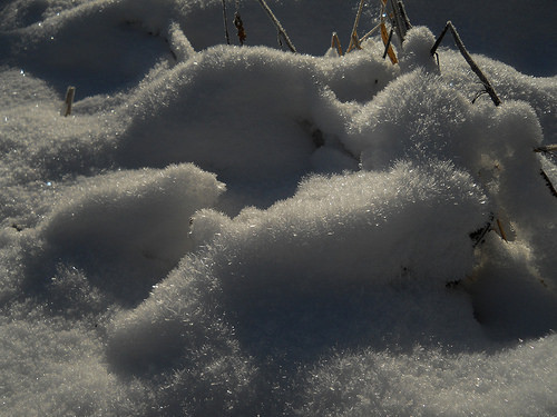 hoarfrost on snow