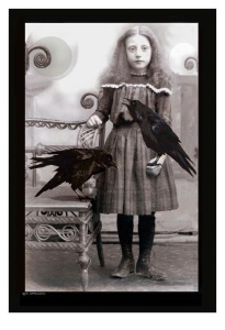 ravens