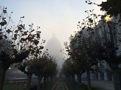 IMG_8518