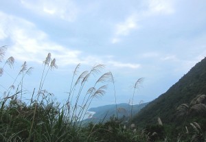 View from Hai Van Pass