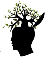 brain