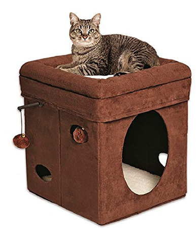 Curious Cat Cube