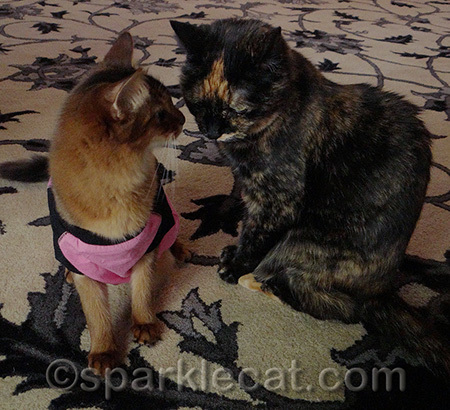 I'm always willing to share!