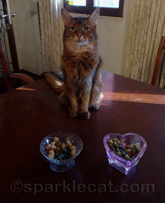 I paw-picked these treats especially for you!