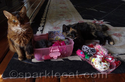 It's a Hello Kitty toy box!