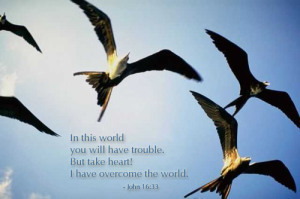 john16_33