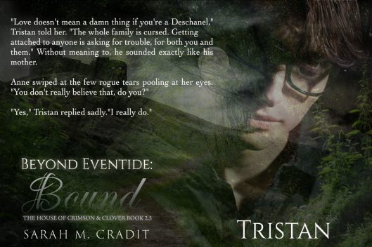 Light in a forest with fog