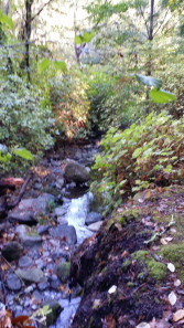 20141026_131036
