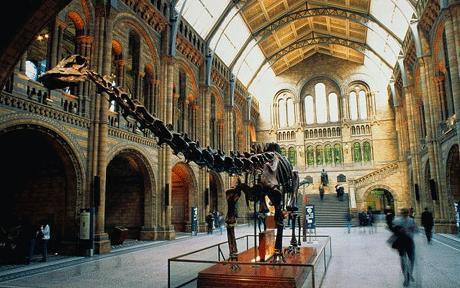 The main hall of the Natural History Museum, London
