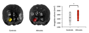 Amygdala Altruists