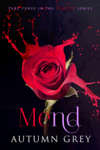 Mend (Havoc #3) by Autumn Grey