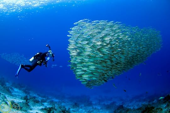 Misool Eco Resort (Raja Ampat, Indonesia)
